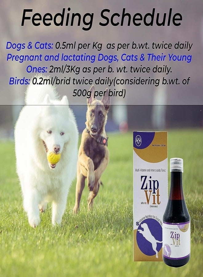 BULLYPET ZipVit multivitamin for Dogs| Amino Acid Dog Supplement| Immunity Booster & Appetite Stimulation for Dogs & Cats (Pack of 3) - Image 5